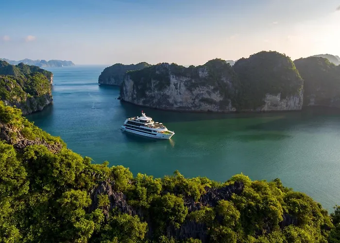  Stellar Of The Seas Cruise